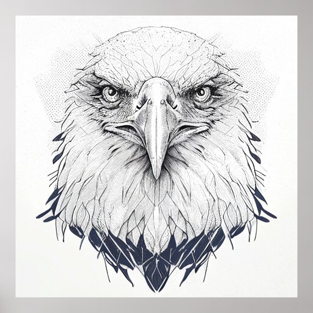 Affiche Oiseau d'aigle Nature sauvage Illustration animale (Devant)