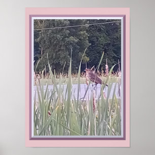Affiche Oiseau dans les hautes herbes