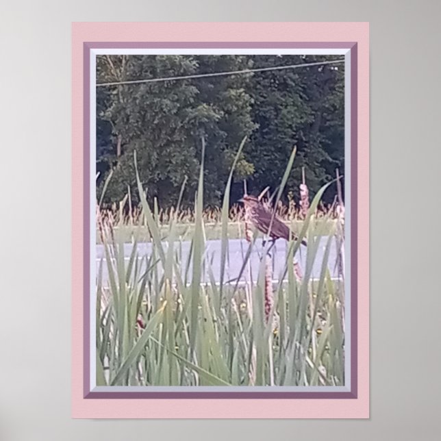 Affiche Oiseau dans les hautes herbes (Devant)