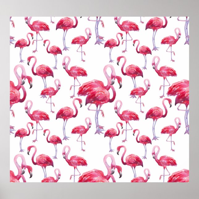 Affiche Oiseau d'aquarelle de Flamant rose exotique (Devant)