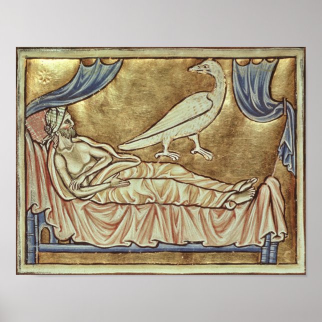 Affiche Oiseau de Caladrius, réputé pour prédire (Devant)