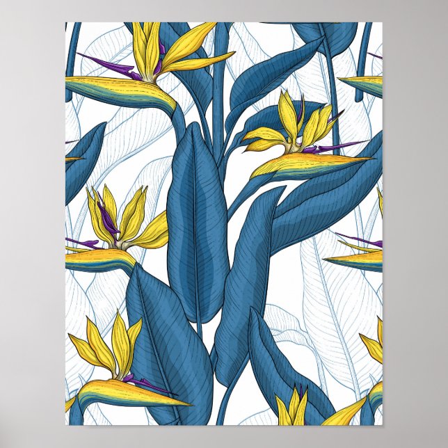 Affiche Oiseau de fleurs de paradis sur blanc (Devant)