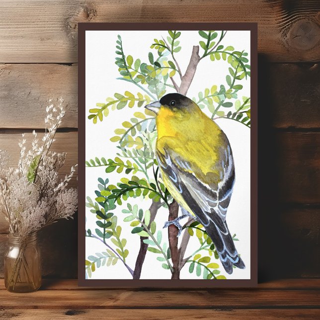 Affiche Oiseau de Goldfinch dans le désert Aquarelle Art (Goldfinch Bird in Desert Watercolor Art Poster
Wall Art Painting)