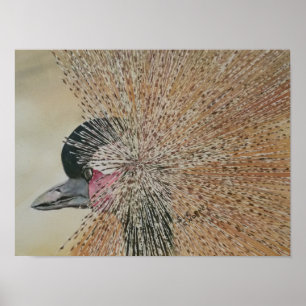 Affiche Oiseau de grue africain exceptionnel