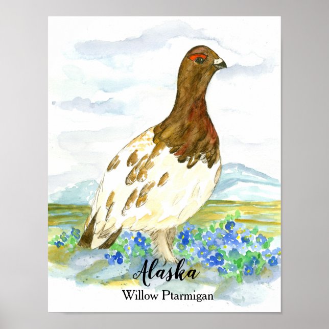 Affiche Oiseau de l'Alaska Willow Ptarmigan (Devant)