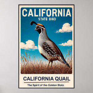 Affiche Oiseau de l'État de Californie - Coline de Califor