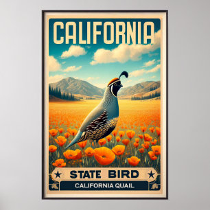 Affiche Oiseau de l'État de Californie - Coline de Califor