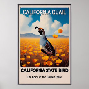 Affiche Oiseau de l'État de Californie - Coline de Califor
