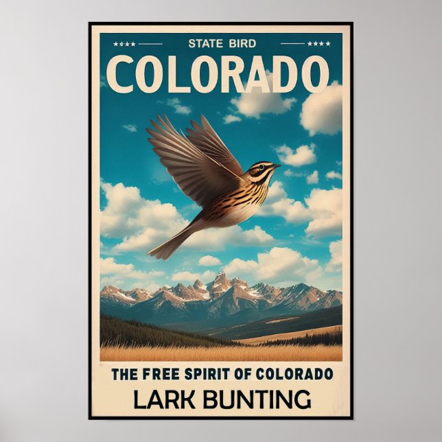 Affiche Oiseau de l'État du Colorado - Bruant sauterelle V (Devant)