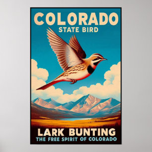 Affiche Oiseau de l'État du Colorado - Bruant sauterelle V