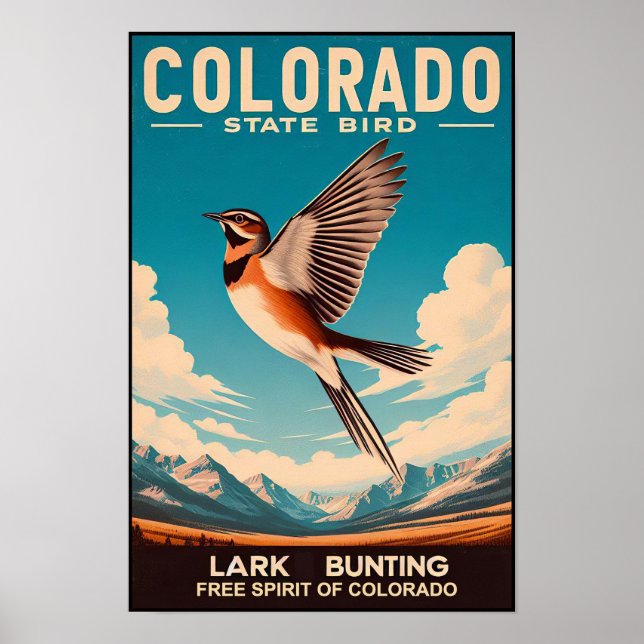 Affiche Oiseau de l'État du Colorado - Bruant sauterelle V (Devant)