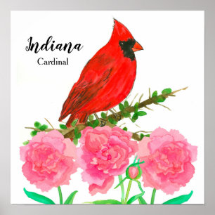 Affiche Oiseau de l'Indiana Red Cardinal Peonies