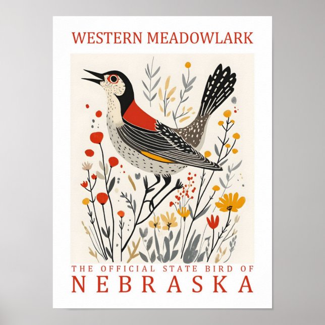 Affiche Oiseau de Meadowlark occidental du Nebraska États- (Devant)