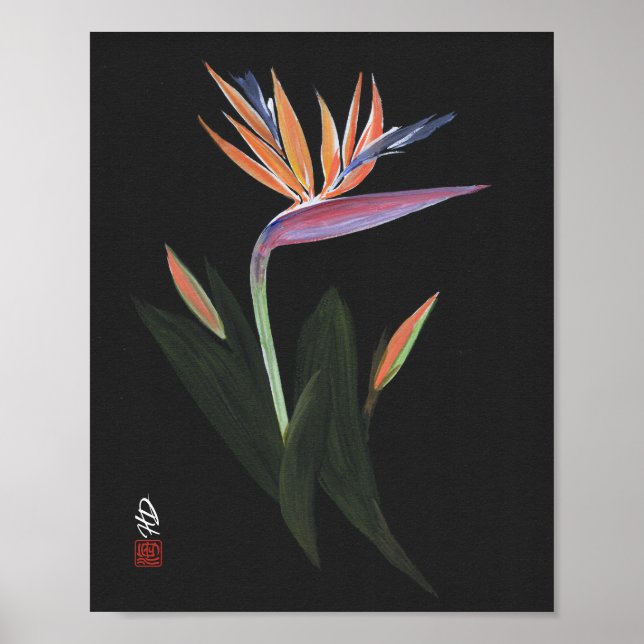 Affiche Oiseau de Paradis de Minuit Art (Devant)
