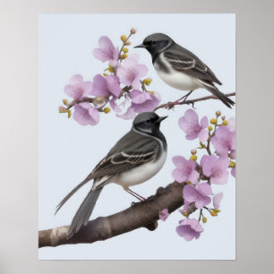 Affiche Oiseau de queue