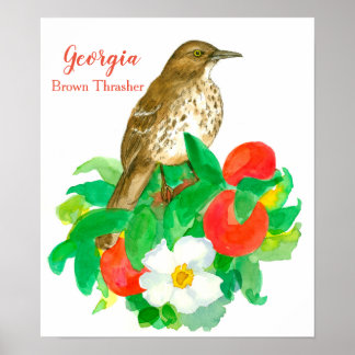Affiche Oiseau d'État de Géorgie Brown Thrasher