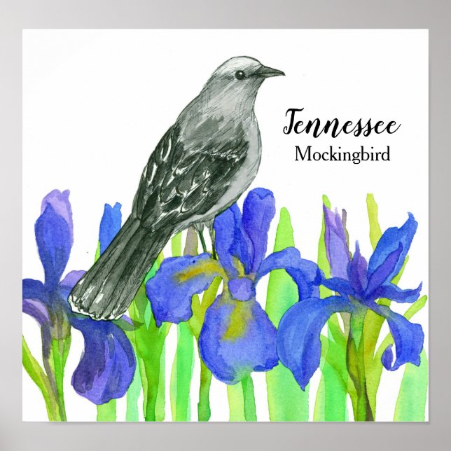 Affiche Oiseau d'état de Mockingbird dans le Tennessee (Devant)