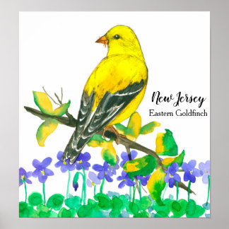 Affiche Oiseau d'État du New Jersey, Goldfinch oriental