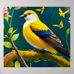 Affiche Oiseau doré