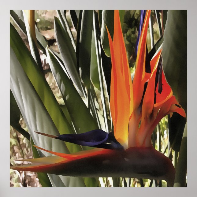 Affiche Oiseau du Paradis Strelitzia Reginae Acrylique Pai (Devant)