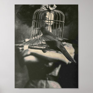 Affiche Oiseau en cage surréaliste en noir et blanc et dam