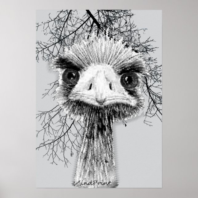 Affiche Oiseau en colère (Devant)