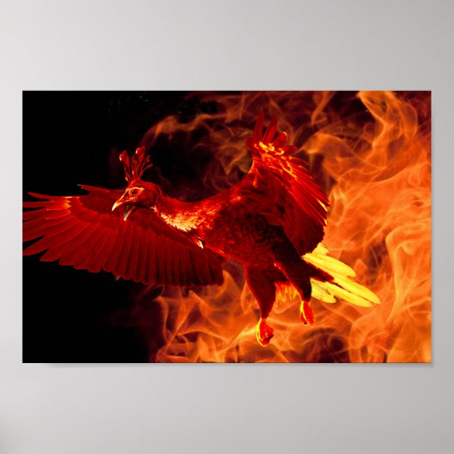 Affiche Oiseau en feu (Devant)
