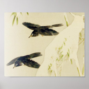 Affiche Oiseau en scène de neige, Watanabe Seitei