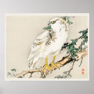 Affiche Oiseau moqueur du Nord par Kōno Bairei (1844-1895)