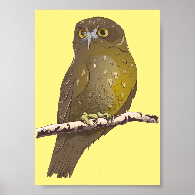 Affiche Oiseau Morepork RURU NZ (Devant)