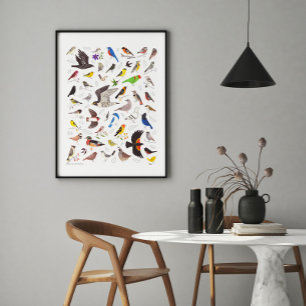Affiche Oiseau Nerd Imprimer