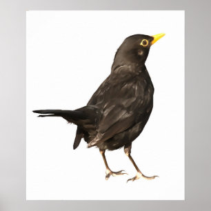 Affiche Oiseau Noir Isolé Sur Peinture Acrylique Blanche