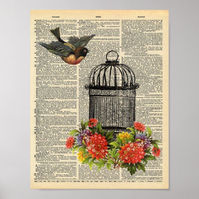 Affiche Oiseau ornithologique fleurs dictionnaire vintage (Devant)