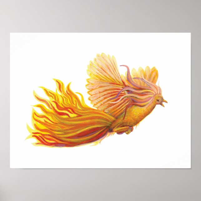 Affiche Oiseau phénix légendaire (Devant)