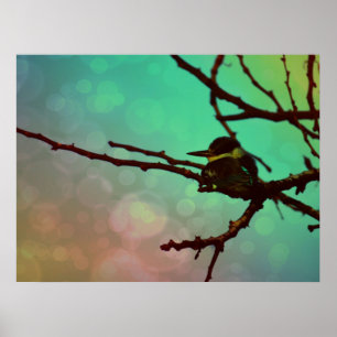 Affiche Oiseau Sur Une Branche -Aqua N Rose