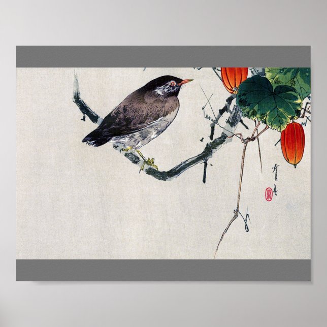 Affiche Oiseau sur une branche de Trichosanthes, Watanabe  (Devant)