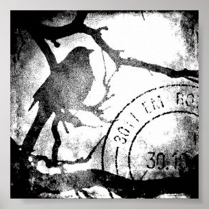 Affiche Oiseau sur une branche, noir et blanc