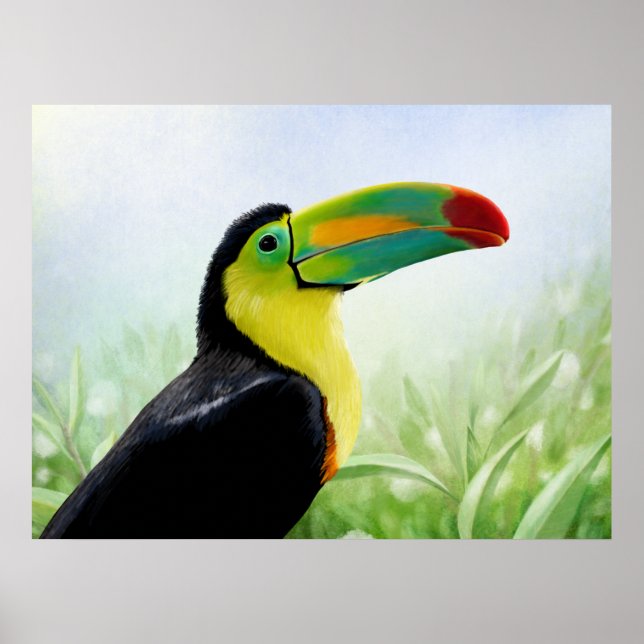 Affiche Oiseau tropical coloré Noir Jaune Vert Toucan (Devant)