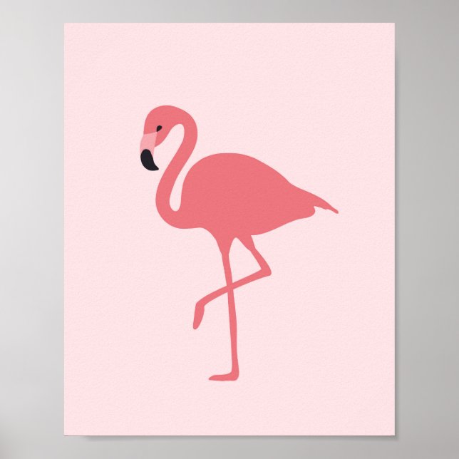 Affiche Oiseau tropical Flamant rose rose (Devant)