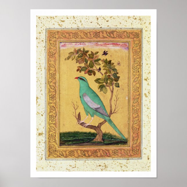 Affiche Oiseau vert, Mughal (gouache sur papier) (Devant)
