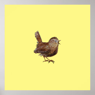 Affiche Oiseau Wren (Troglodytes Troglodytes)