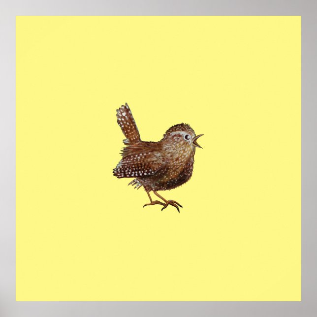 Affiche Oiseau Wren (Troglodytes Troglodytes) (Devant)