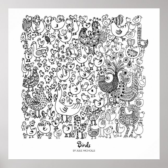 Affiche Oiseaux (Devant)