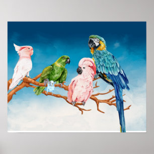 Affiche Oiseaux Aquarelle Parrot Macaw Cockatoo Parakeet