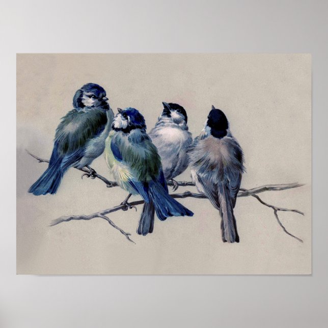 Affiche Oiseaux bleus et gris poussiéreux sur une aquarell (Devant)