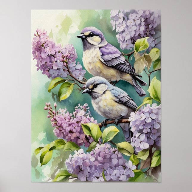 Affiche Oiseaux d'aquarelle avec fleurs Lilac en floraison (Devant)