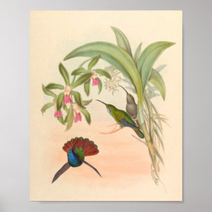 Affiche Oiseaux d'art vintages Fleurs d'impression