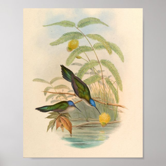 Affiche Oiseaux d'art vintages Fleurs d'impression (Devant)