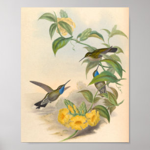 Affiche Oiseaux d'art vintages Fleurs d'impression