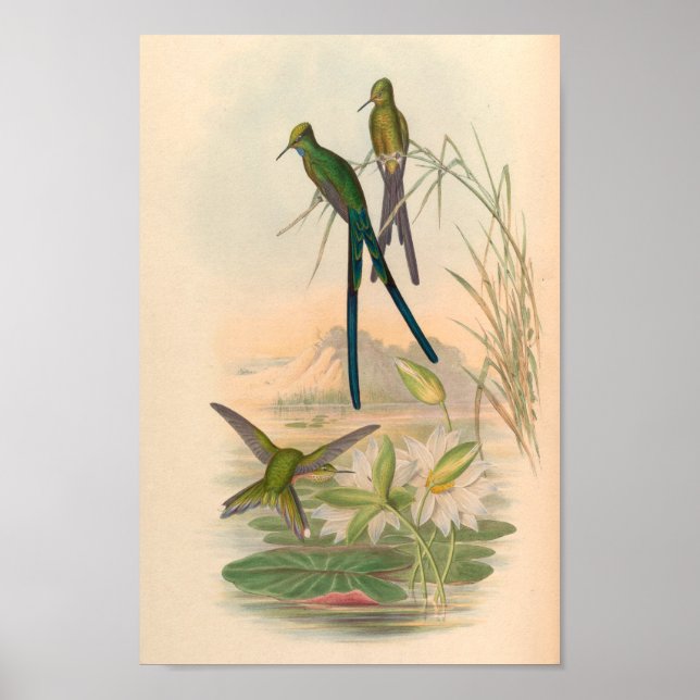 Affiche Oiseaux d'art vintages Fleurs d'impression (Devant)